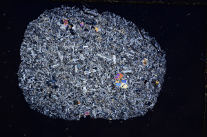 Cross Polarized, E9649