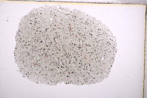 Plane Polarized, E9649