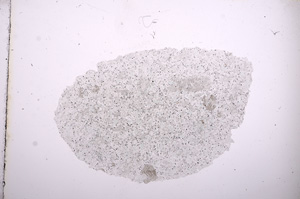 Plane Polarized, E9650