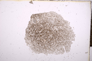 Plane Polarized, E9652