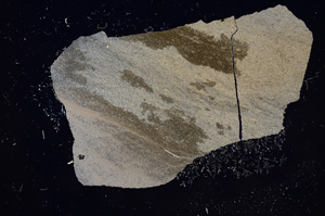 Cross Polarized, E9660