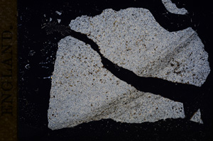 Cross Polarized, E9661