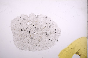 Plane Polarized, E9705