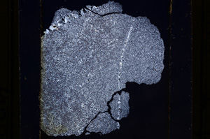 Cross Polarized, E9876