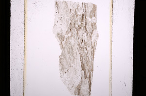 Plane Polarized, E9968