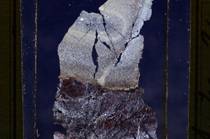 Cross Polarized, E10097