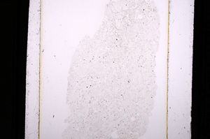 Plane Polarized, E10128/A