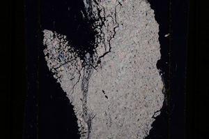 Cross Polarized, E10180