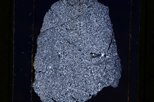 Cross Polarized, E10189