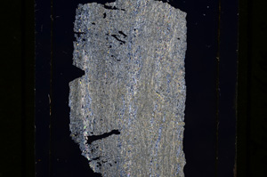 Cross Polarized, E10190