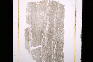 Plane Polarized, E10190