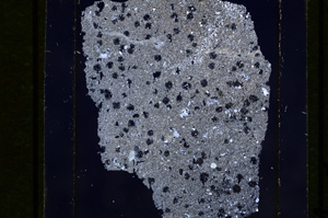 Cross Polarized, E10201