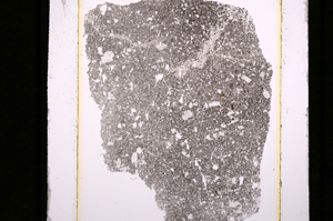 Plane Polarized, E10201