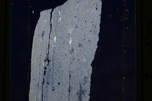 Cross Polarized, E10225