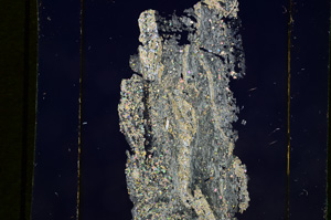 Cross Polarized, E10283