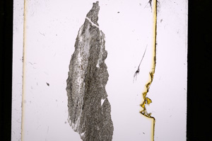 Plane Polarized, E10297