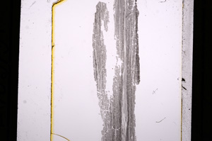 Plane Polarized, E10313
