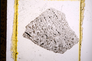 Plane Polarized, E10424