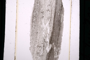 Plane Polarized, E10441