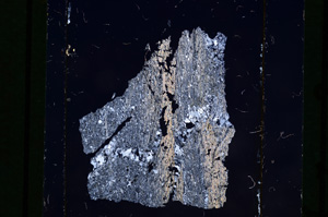 Cross Polarized, E10542