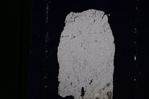 Cross Polarized, E10543