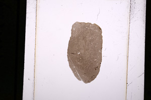 Plane Polarized, E10547