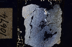 Cross Polarized, E10674