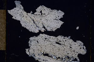 Cross Polarized, E10681