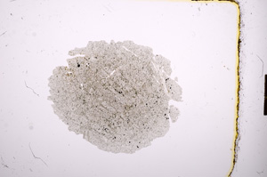 Plane Polarized, E10682