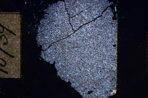 Cross Polarized, E10739