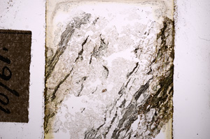 Plane Polarized, E10761