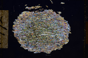 Cross Polarized, E10772