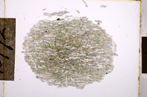 Plane Polarized, E10772