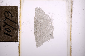 Plane Polarized, E10773