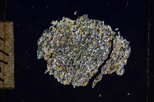 Cross Polarized, E10774