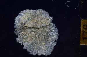 Cross Polarized, E10775