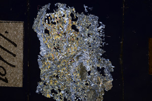 Cross Polarized, E10777