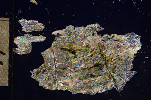 Cross Polarized, E10778