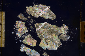 Cross Polarized, E10779