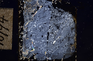 Cross Polarized, E10794