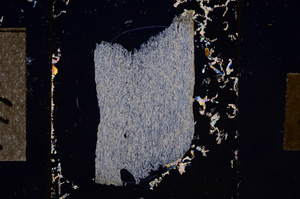 Cross Polarized, E10795