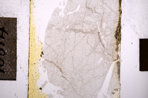 Plane Polarized, E10814