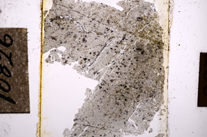 Plane Polarized, E10826