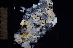 Cross Polarized, E10832