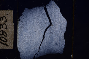 Cross Polarized, E10833