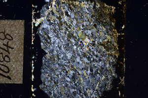 Cross Polarized, E10848