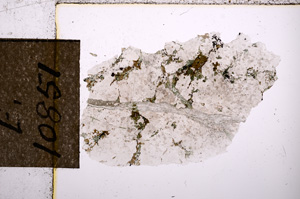 Plane Polarized, E10851