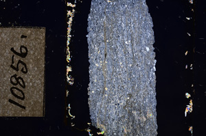 Cross Polarized, E10856