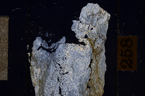 Cross Polarized, E10857