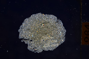 Cross Polarized, E10863